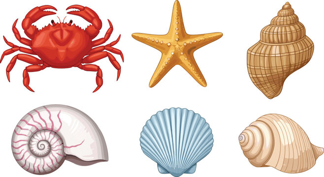 Collection of Realistic Sea Creatures and Shells Featuring Red Crab Starfish Nautilus and Scallop Isolated Vector Icons for Summer Beach and Marine Designs