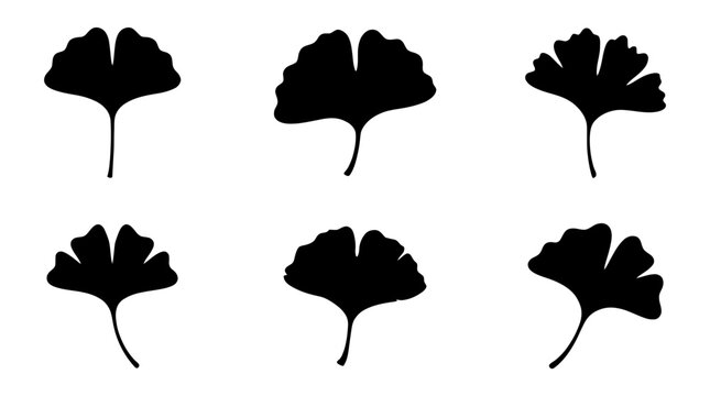 ginkgo leaf silhouette vector set