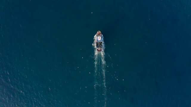 Fish trawlers navigate back to port after a day's work at sea. Their return reminds us of the need for ocean conservation and the balance between fishing and protecting marine life.