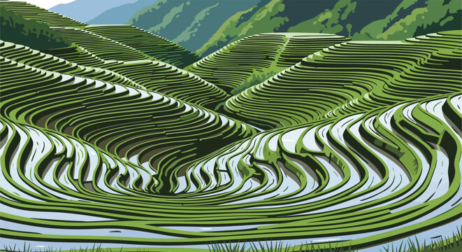 Stunning green rice terrace fields follow the curves of the hills creating a beautiful agricultural landscape in the mountains.