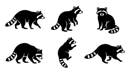 Obraz premium raccoon silhouette vector set