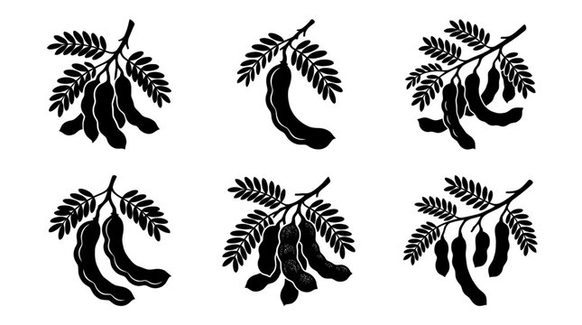tamarind silhouette vector set