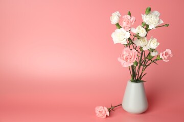 Fototapeta premium Beautiful carnation flowers in vase on pink background, space for text