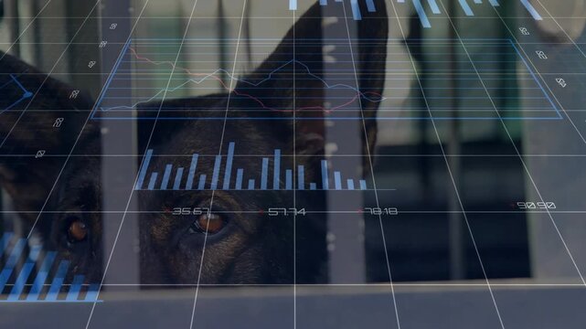 Camera revealing, HUD moving, dog shifting head at bars, data ring circling right-eye for security