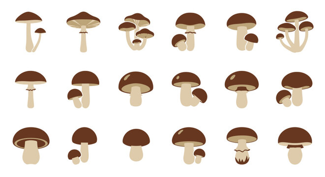 Mushroom Cluster Portrait Focus On Cap.