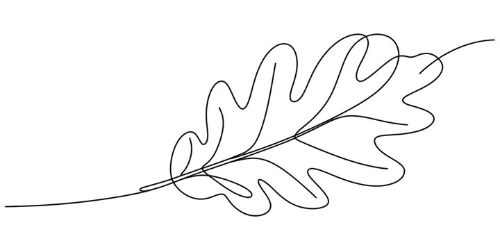 Continuous one line drawing of an oak leaf in a minimalist style on a white background. Vector, illustration