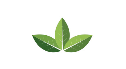Fototapeta premium Stylized illustration of four green leaves arranged in a symmetrical pattern isolated on transparent background, Vector
