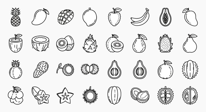 Collection of Tropical Exotic Fruits Icons Set Vector Illustration Pineapple Mango Coconut Banana Papaya Guava Dragon Fruit Durian