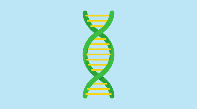 DNA Structure - A Visual Representation of Genetic Information.