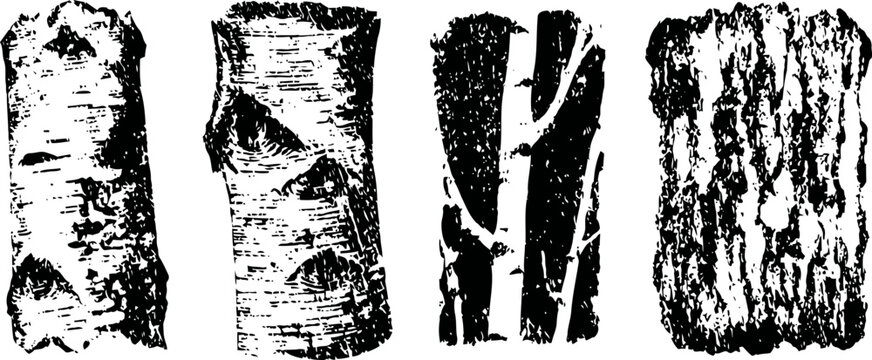 four vertical pieces of textured birch tree bark isolated on white background