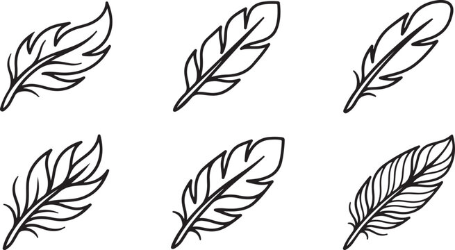 Collection of hand drawn feather illustrations for nature stationery