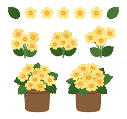Primrose clipart set in yellow and orange with flowers, leaves, bouquets, and potted arrangements. Ideal for spring designs, floral decorations, and cheerful themes. © Qubii Studio