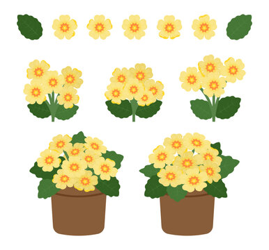 Primrose clipart set in yellow and orange with flowers, leaves, bouquets, and potted arrangements. Ideal for spring designs, floral decorations, and cheerful themes.