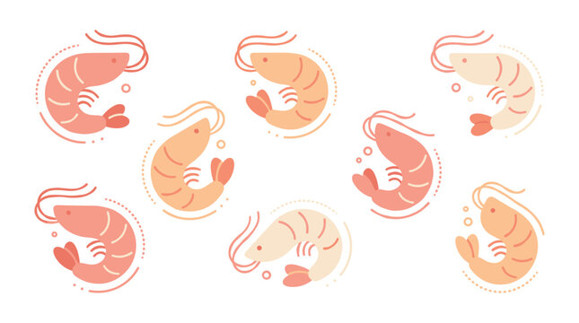 Shrimp seafood food illustration.