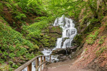 Fototapeta premium Waterfall Shypit on mountain river in beech forest in Carpathians