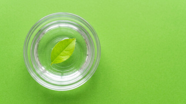 Clear glass bowl with pure water and floating leaf on green surface clean water nature hope concept.