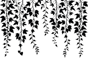 hanging ivy vine patterns leaves silhouette line art vector illustration © kanchanrani