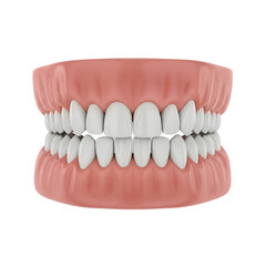 Fototapeta premium Pink plastic dinosaur teeth model for educational or craft use