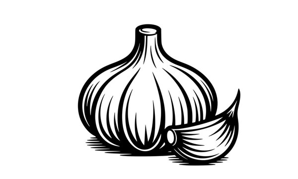 Hand-Drawn Garlic Bulb and Clove Black and White Illustration in Woodcut Engraving Style &mdash; Bold Ink Sketch Vector Art Perfect for Food, Kitchen, and Packaging Design