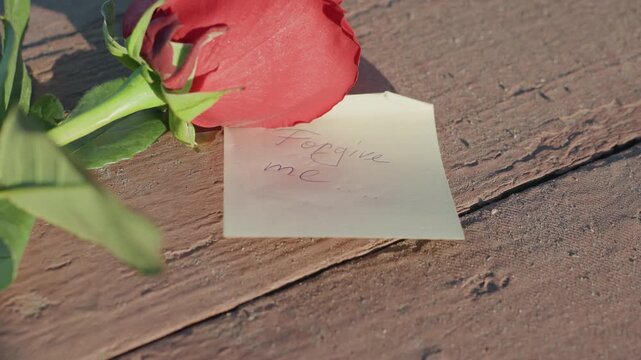 Red rose handwritten note on wood, intimate cinematic closeup capturing apology mood, soft golden sunlight grazing petals, faded ink message on textured plank, delicate stem and leaf in shallow focus,