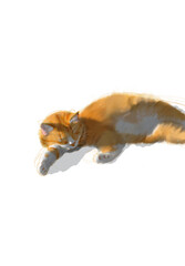 Obraz premium A sweet and cozy digital painting of a fluffy ginger cat sleeping peacefully. The artwork features a soft, painterly texture that highlights the cat's thick orange fur and relaxed pose. Isolated on a 