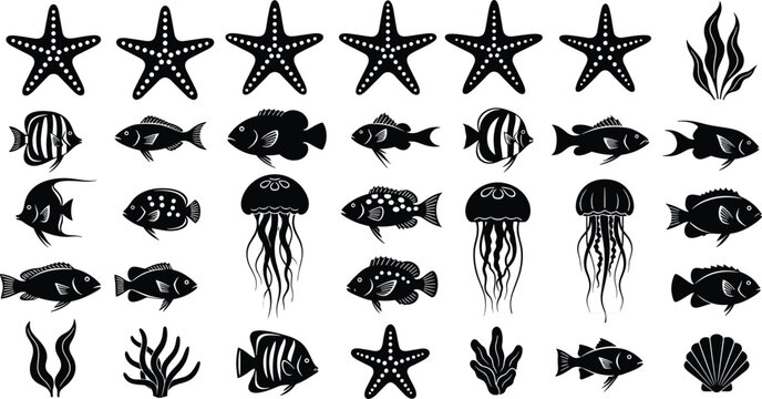 marine life silhouettes set, fish starfish jellyfish seaweed collection, ocean animals icons, underwater nature elements, black vector illustration design pack