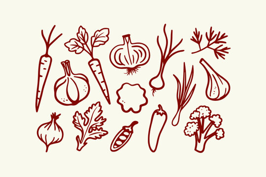 Collection of hand-drawn vegetables and herbs illustration with vegetable broccoli illustration background isolated agriculture nutrition ingredient vitamins seasoning botanical