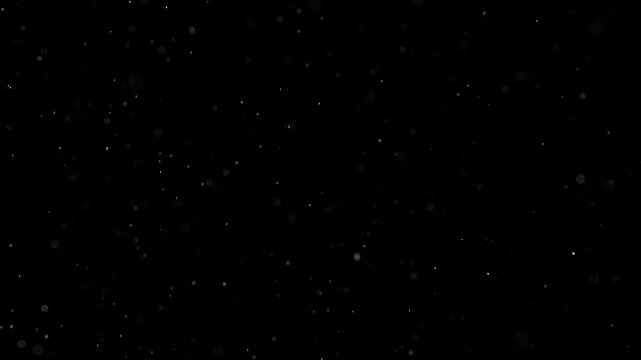 Magic Powder. Small white particles flow in the air on a black background to simulate snow, blizzard, or a microcosm of the Christmas magic