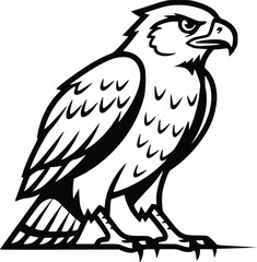 Obraz premium Hand Drawn Eagle Line Art Vector Illustration Vintage Black and White
