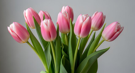Fototapeta premium Pink tulips bouquet spring flowers floral arrangement delicate beauty