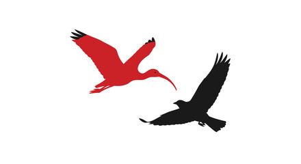 Obraz premium Minimalist silhouettes of a red scarlet ibis and a black bird flying against a white background