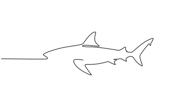 Minimalist shark, one line drawing, animal illustration, simple design