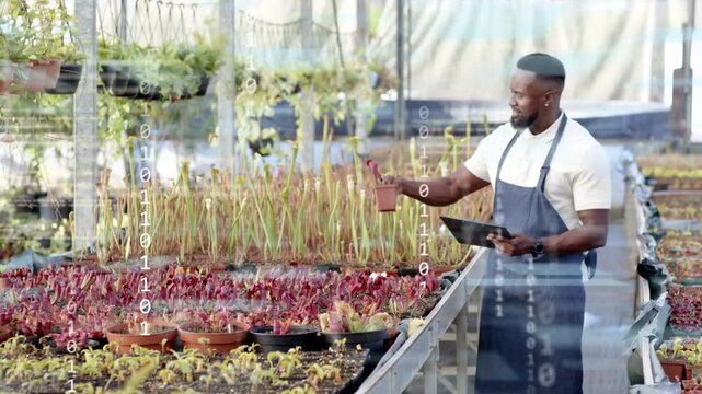 Greenhouse worker tapping tablet, scanning plants, activating AR overlay for crop tracking