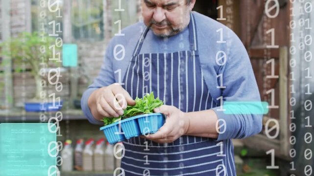Gardener lifting blue tray, checking seedlings for care while cyan UI drifting, receding over tray