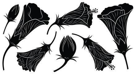 Adobe Illustrator Artwork © AzmirHossin