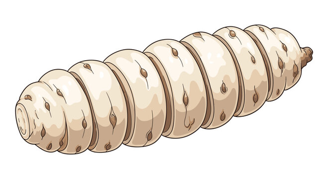 Detailed illustration of a large, pale termite queen, characterized by its elongated, segmented body, central to a colony's reproduction.