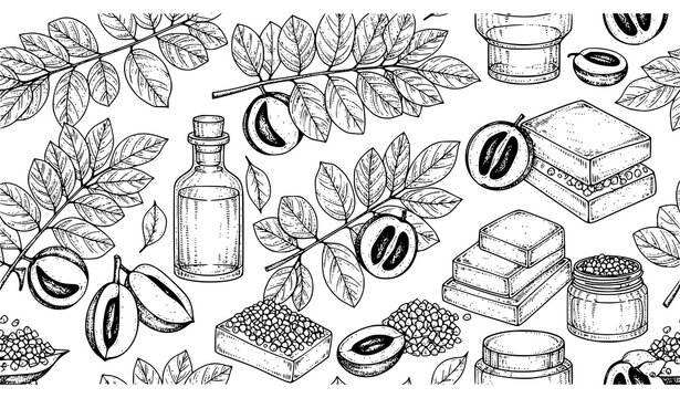 Terminalia Chebula Haritaki Seamless Pattern Botanical Cosmetic Vector