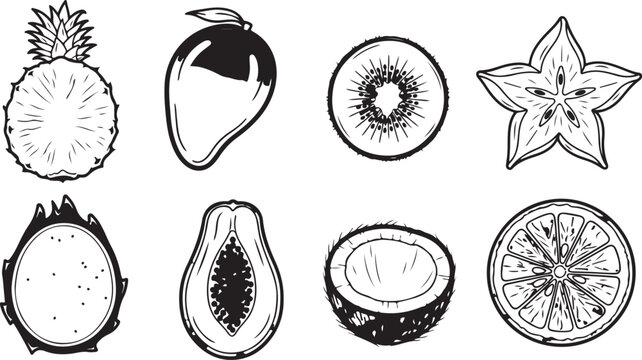 An illustrated guide showcasing the life cycle and structure of a mushroom Vector