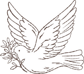 Fototapeta premium Flying dove of peace carrying an olive branch in its beak. Hand-drawn doodle outline illustration