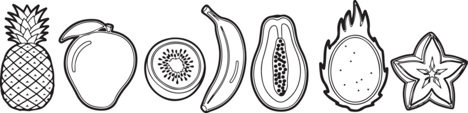 A collection of six different types of mushrooms drawn in ink Vector