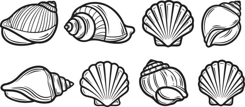 Line art illustrations of various leaves with distinct venation patterns Vector