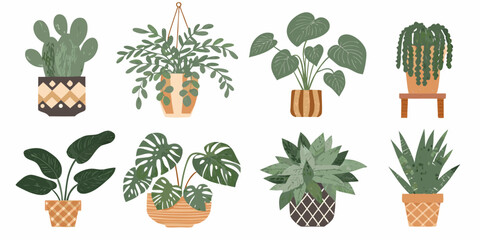 Assorted potted houseplants displayed in a colorful decorative arrangement © Mityunjoy