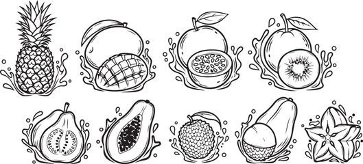 Detailed anatomical sketches of various sea creatures and marine life forms Vector © Runa