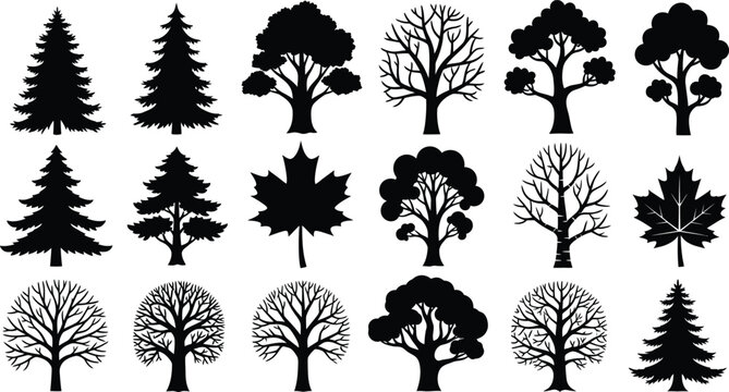 Collection of stylized black and white tree silhouettes in various shapes and sizes Vector
