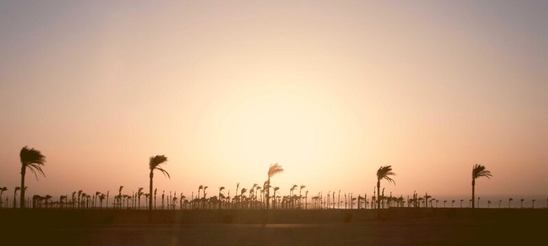 Nature, Landscape, Forest, Mountains, Trees, ent, Hunise, Sunset, Wilderness, Laves, Environment, Horizon n, Peaceity, Background, igh Quality, Natural Light, Purity, Background, HighQuality, Natural 