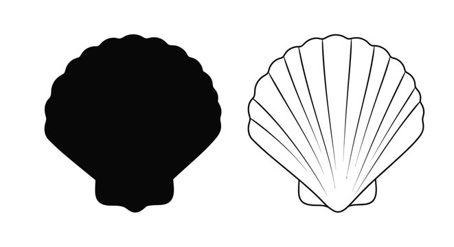 Two seashell illustrations one in solid black a striking silhouette