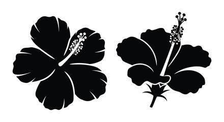 Two hibiscus flowers depicted in a striking black silhouette © Mdsagor02