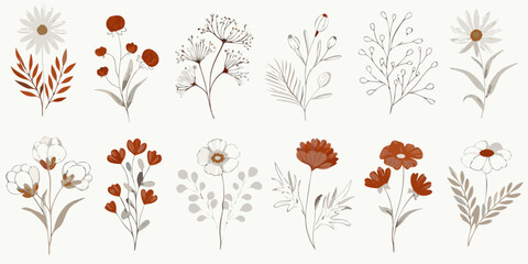 Botanical illustration featuring delicate wildflowers and foliage in neutral tones © MituRani