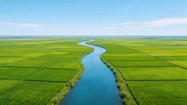 River through green fields