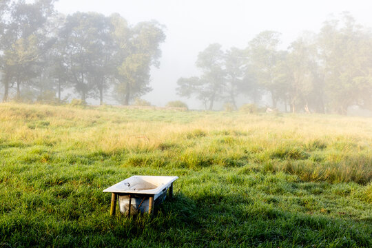 early morning fog, Swellendam, South Africa